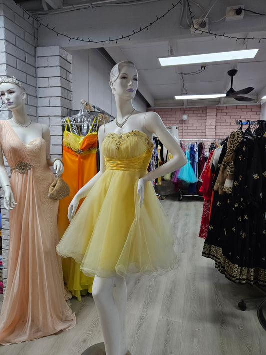 Semi-formal (puffy) Princess Yellow Mesh Dress